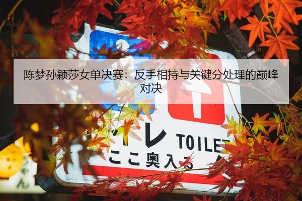 陈梦孙颖莎女单决赛：反手相持与关键分处理的巅峰对决